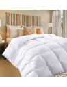 Couette Naturelle en Plume 200x200