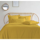 copy of 