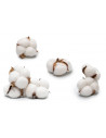100% coton