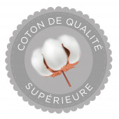copy of 