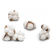 100% coton matière naturelle