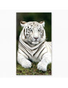 Serviette de plage Tigre Blanc 90x170