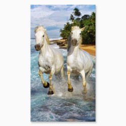 copy of COUPLE DE CHEVAUX