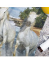 Serviette chevaux plage sur la plage