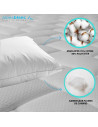 Oreiller Sensation Duvet 50x70