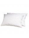 lot de deux oreillers rectangles Alpes Blanc