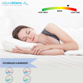 Indice de fermeté oreiller en plume 65x65 cm : ferme