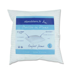 Oreiller Sensation Duvet 50x70