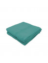 Lot de deux serviettes 100% coton 100x150 cm 600grammes/m² vert sauge