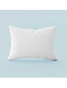 Lot 2 oreillers carrées naturels en Plumes de canard