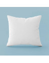 Oreiller Naturel Souple 50% Duvet 65x65 cm