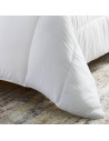 copy of Couette naturelle plume Luxe