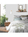 Housse de couette 100 % coton Lobia 240x220 dans chambre