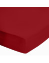 copy of 