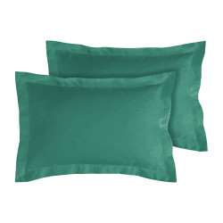  - celadon - 50 x 70 cm