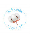 copy of 