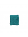 Gant de toilette vert d'eau 20x15cm