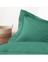 Visuel zoom taies d'oreiller percale rectangle 50x70 cm celadon