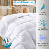 Couette plumes 360g caractéristiques