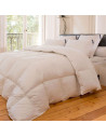 Couette 90% duvet 300g 140x200