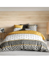 Housse de couette 220x240 cm - Léo + taies pur coton