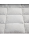 Couette Naturelle en Plume 200x200